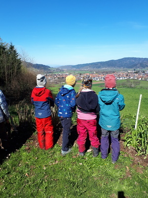 Gartenbande Blick ins Dreisamtal